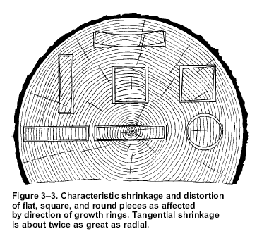 crosssection timber