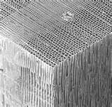 softwood